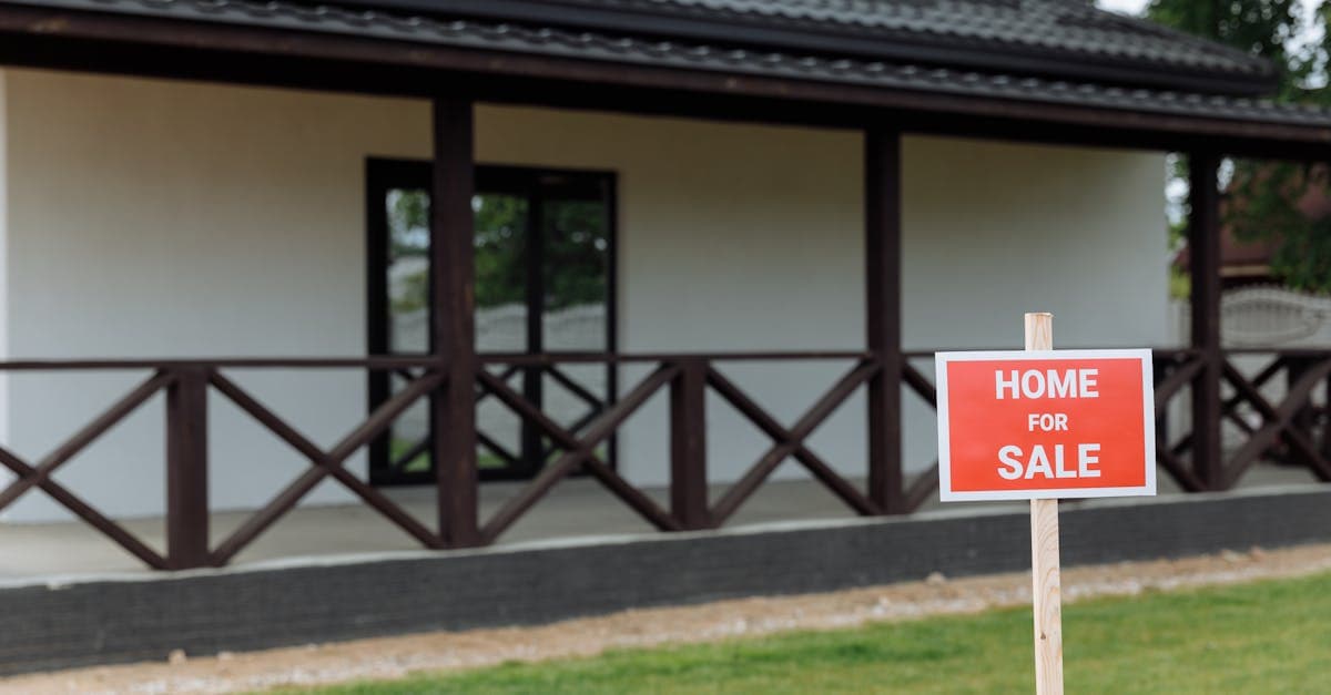 New estate agent team member being trained on CRM system