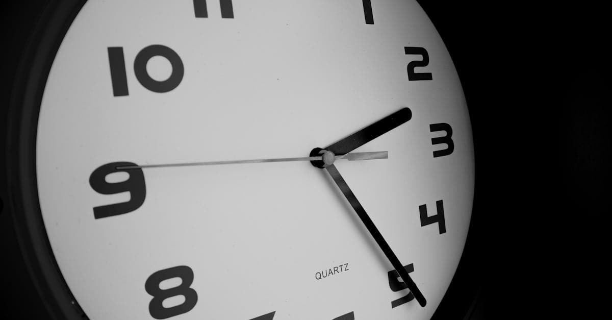 Business owner comparing timesheet software options on laptop