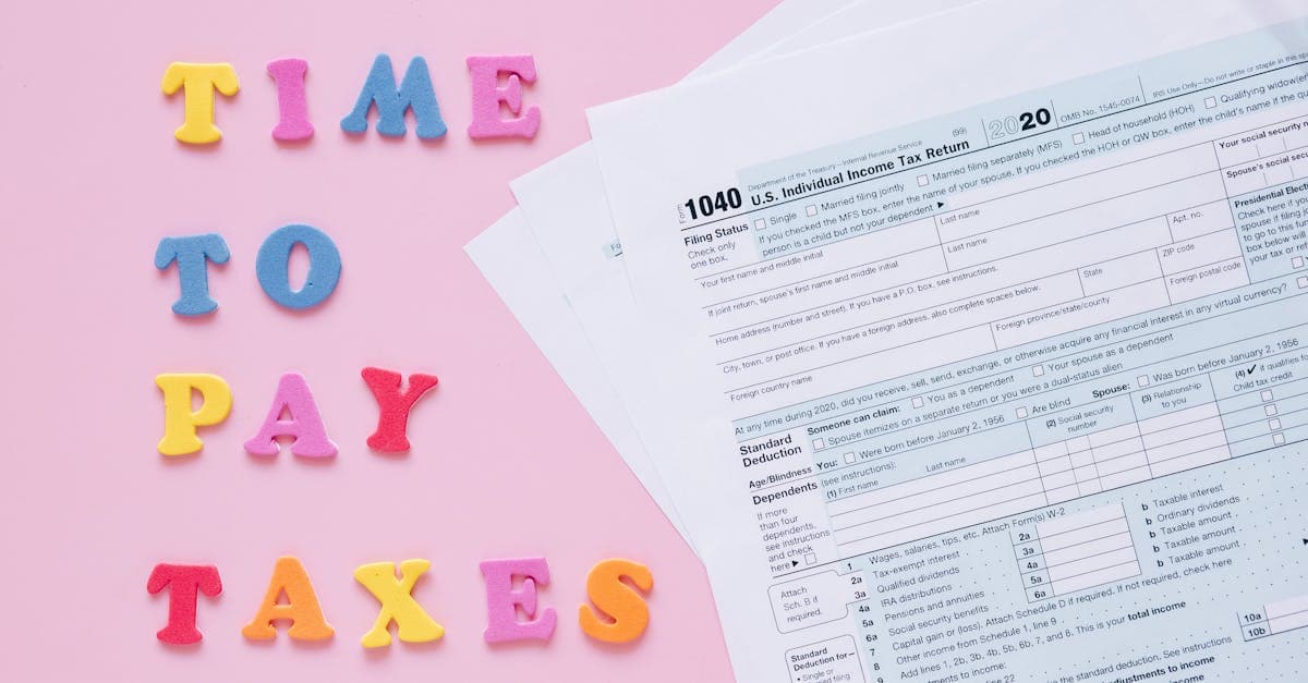 Organized chart of accounts displayed on a computer screen
