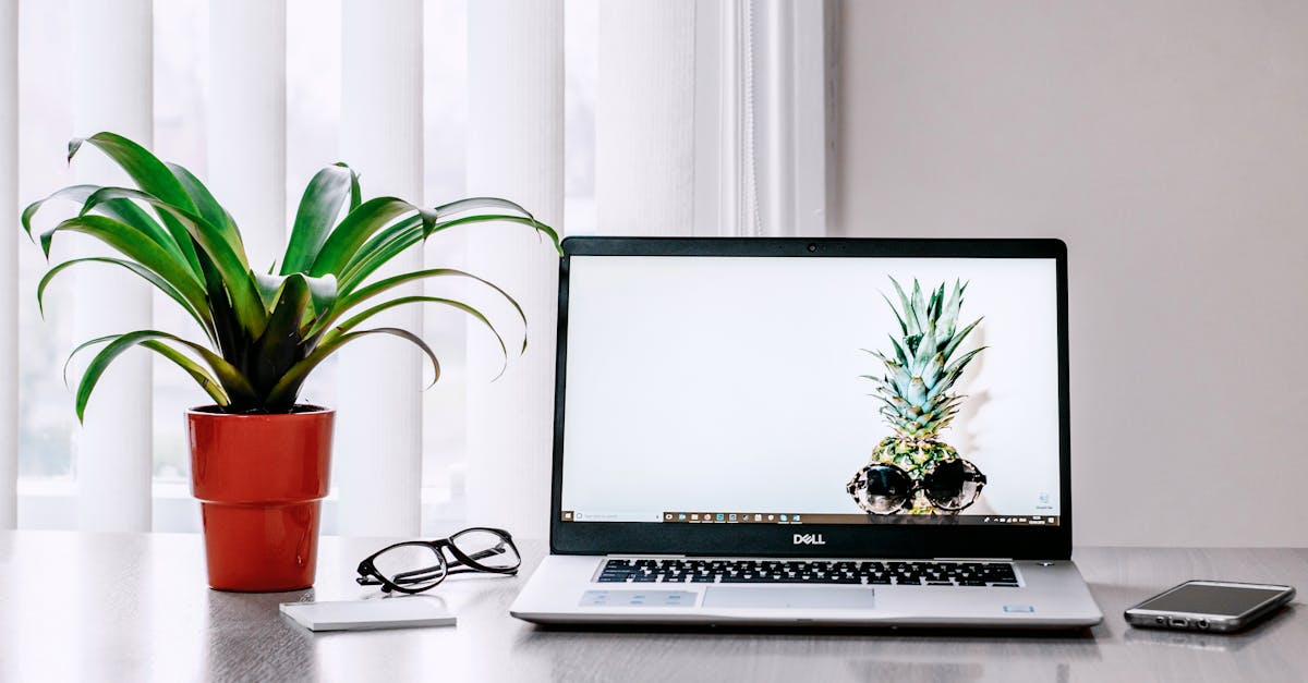 Small business owner evaluating free vs paid accounting software