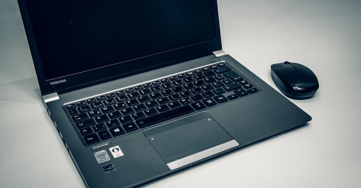 Landlord comparing accounting software options on a laptop