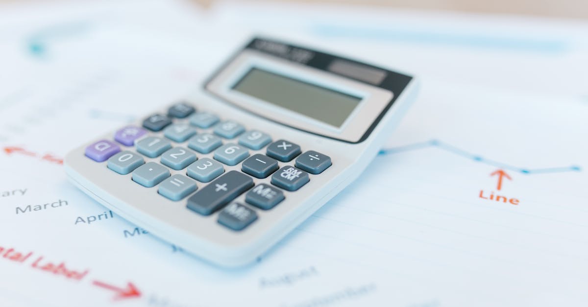 Small business owner reviewing VAT registration documents